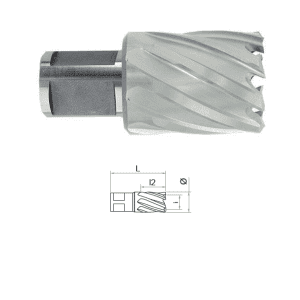 Carota HSS cu prindere Weldon (3/4") lungime 30 mm, DIM 20.0