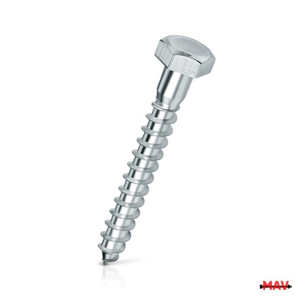 screws din571 100